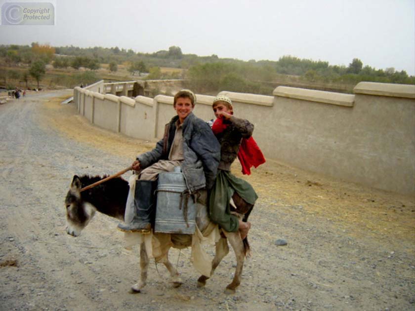 Two kids on Donkey